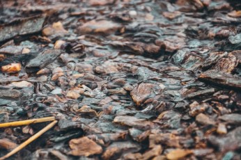 river-8562001_1920